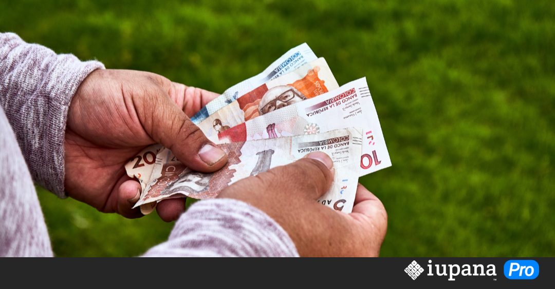 Brecha en créditos digitales agrava red de «montadeudas» en LatAm