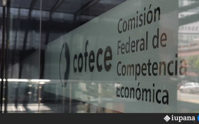 Mientras la Cofece insiste que la competencia fintech vs banca en México debe equilibrarse, enfrenta el riesgo de desaparecer