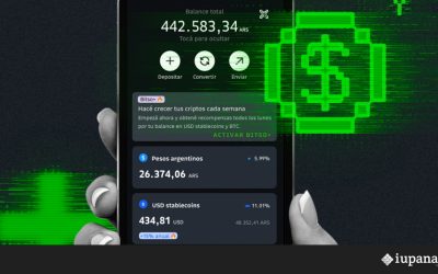 Entre fraudes y ausencia de regulación: industria cripto en México se desmarca del auge de las estafas en línea