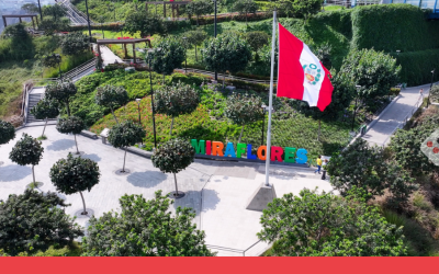 Lemon apunta a operar sin terceros en Perú para mejorar costos y velocidad